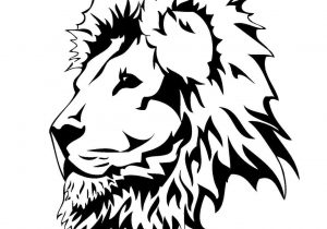 300x210 Of A Lion Google Search U Pencils Pinteurhcom The Judah