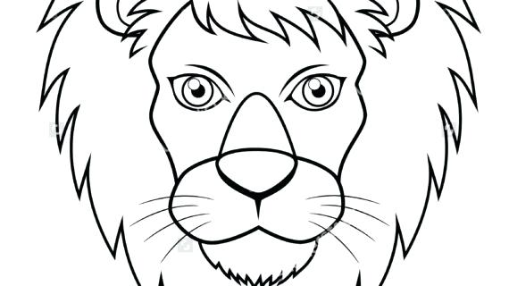 570x320 Collection Of 'lion Outline Drawing' Download More Than Images
