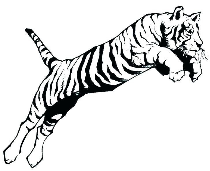 728x595 Paw Print Coloring