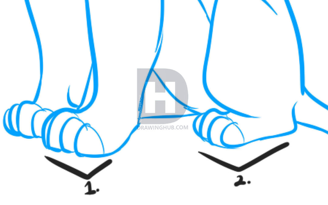 1080x674 how to draw a lion king lion, lion king lions, step