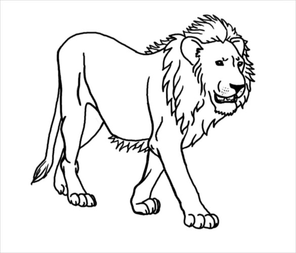 585x500 Lion Drawing Template Free Pdf Documents Download Free