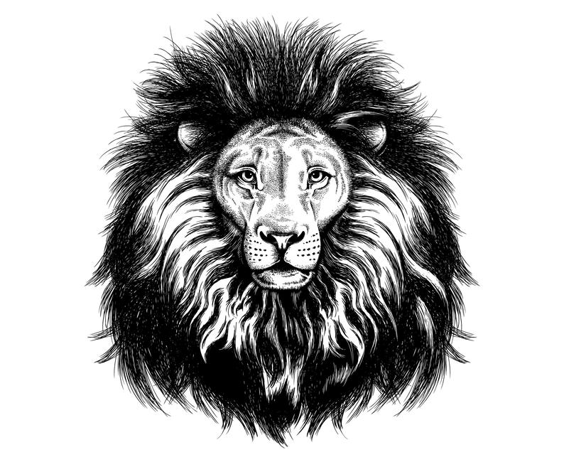 794x650 Lion Head Facehand Etsy