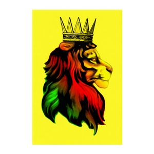 300x300 reggae music rasta lion photographic prints