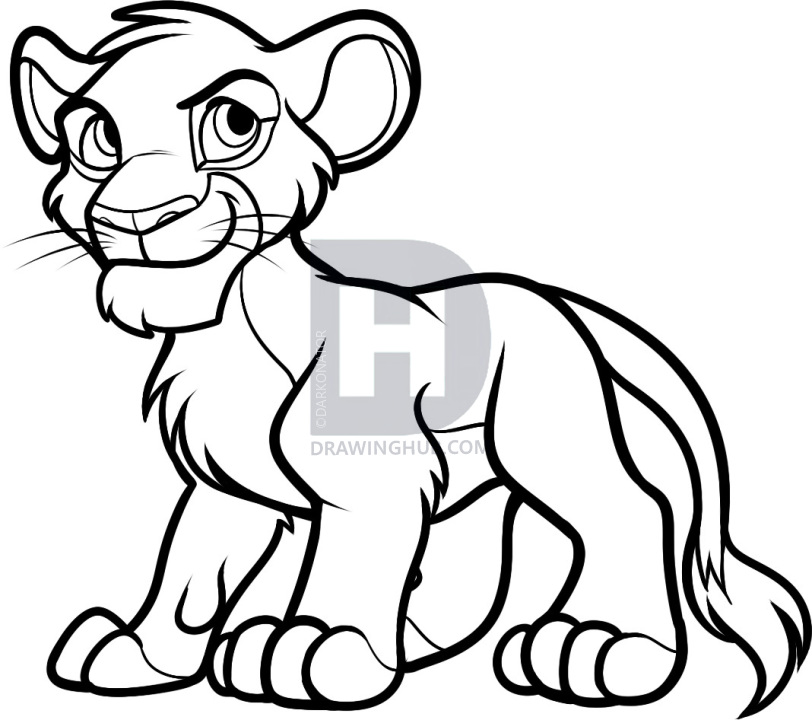 812x720 How To Draw Simba From The Lion King, Step