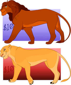 291x350 Roardopts Closed