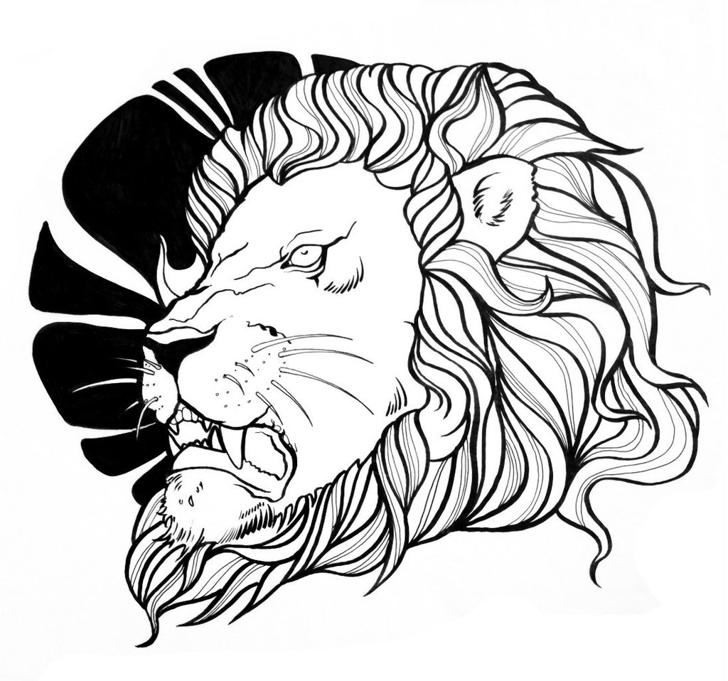 1024x958 Lion Drawing Hair For Free Download
