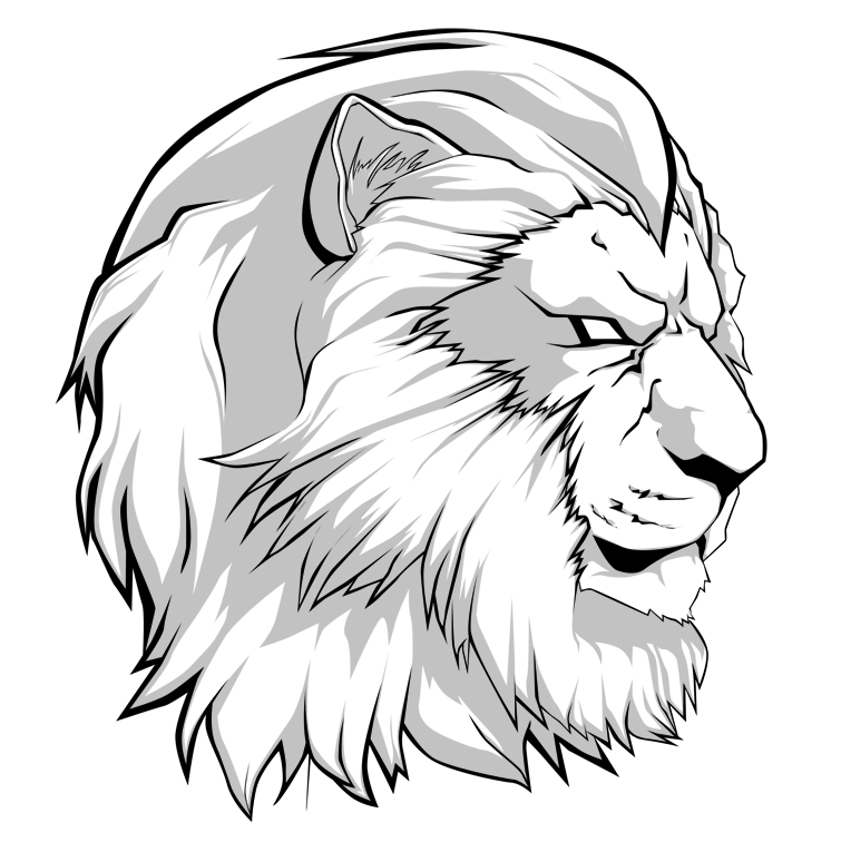 Lion Profile Drawing