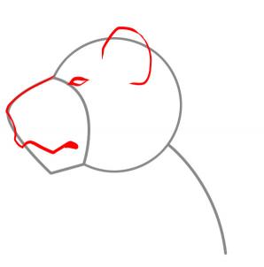 298x302 How To Draw A Lion Face, Step