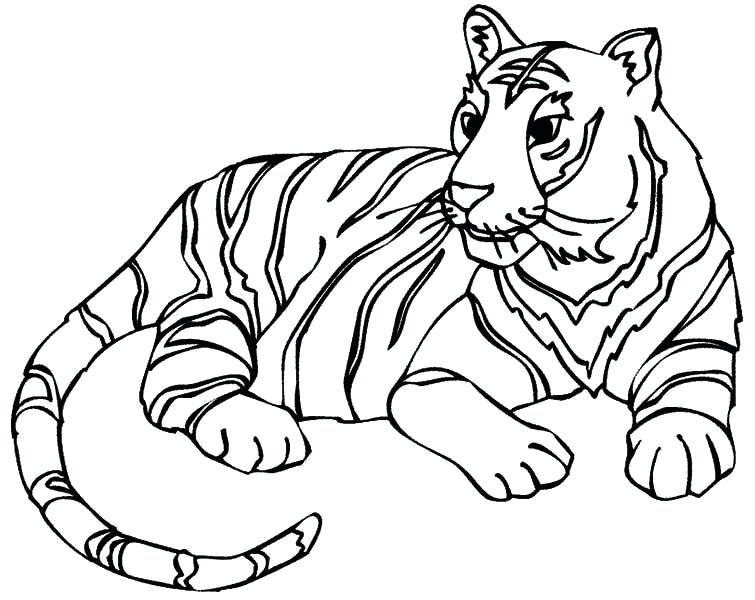 755x600 Pictures Of Tigers To Color Coloring Pages Tiger