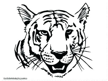 440x330 Tiger Coloring Pages Printable Cute Kids And For Free Lion Pa