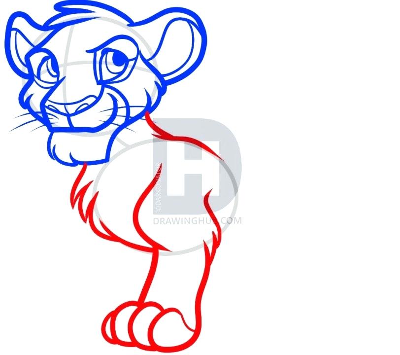 812x720 dragoart lion how to draw a realistic lion step mountain lion