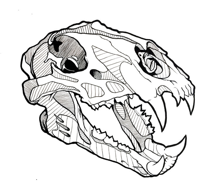 750x660 Fractal Skulls Taylor Tate Art