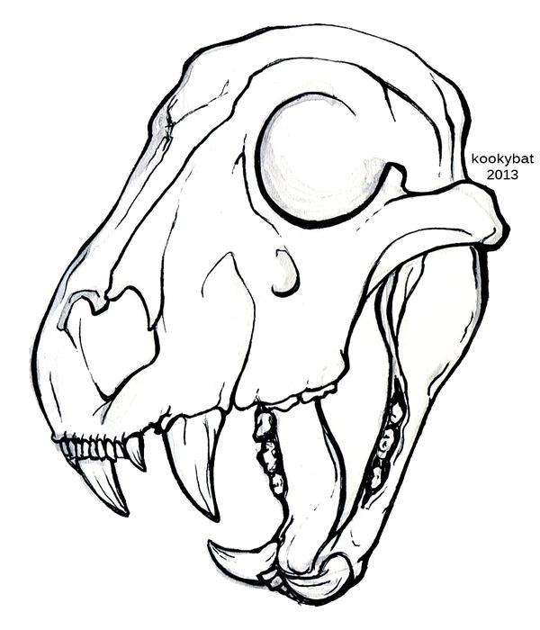 600x700 Lion Skull