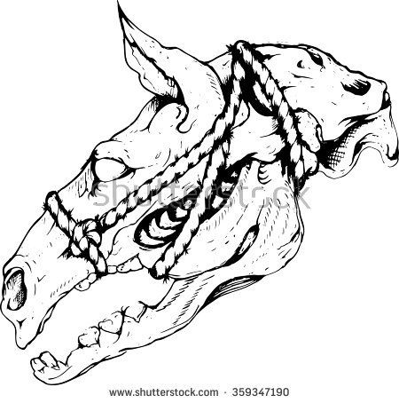 450x454 Horse Lineart