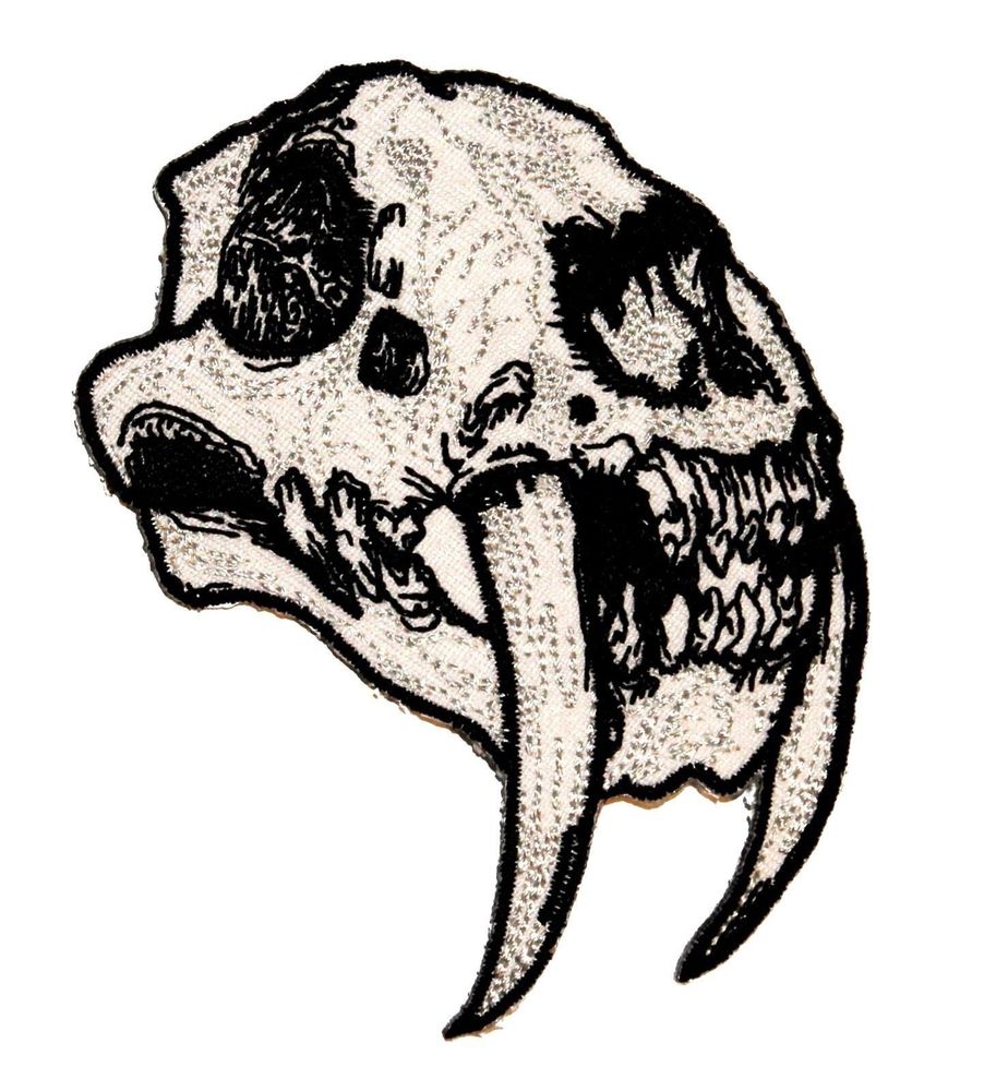 902x1000 saber toothed cat skull sabre tooth tiger lion skeleton iron