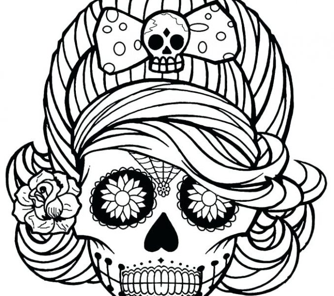 678x600 Sugar Skull Pictures Color Simple Sugar Skull Drawing