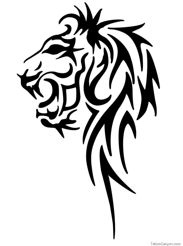 736x987 Tribal Lion Tattoos Ideas Drawings Ideas And Designs
