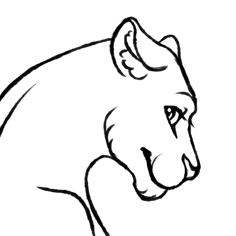 Lioness Head Drawing | Free download on ClipArtMag