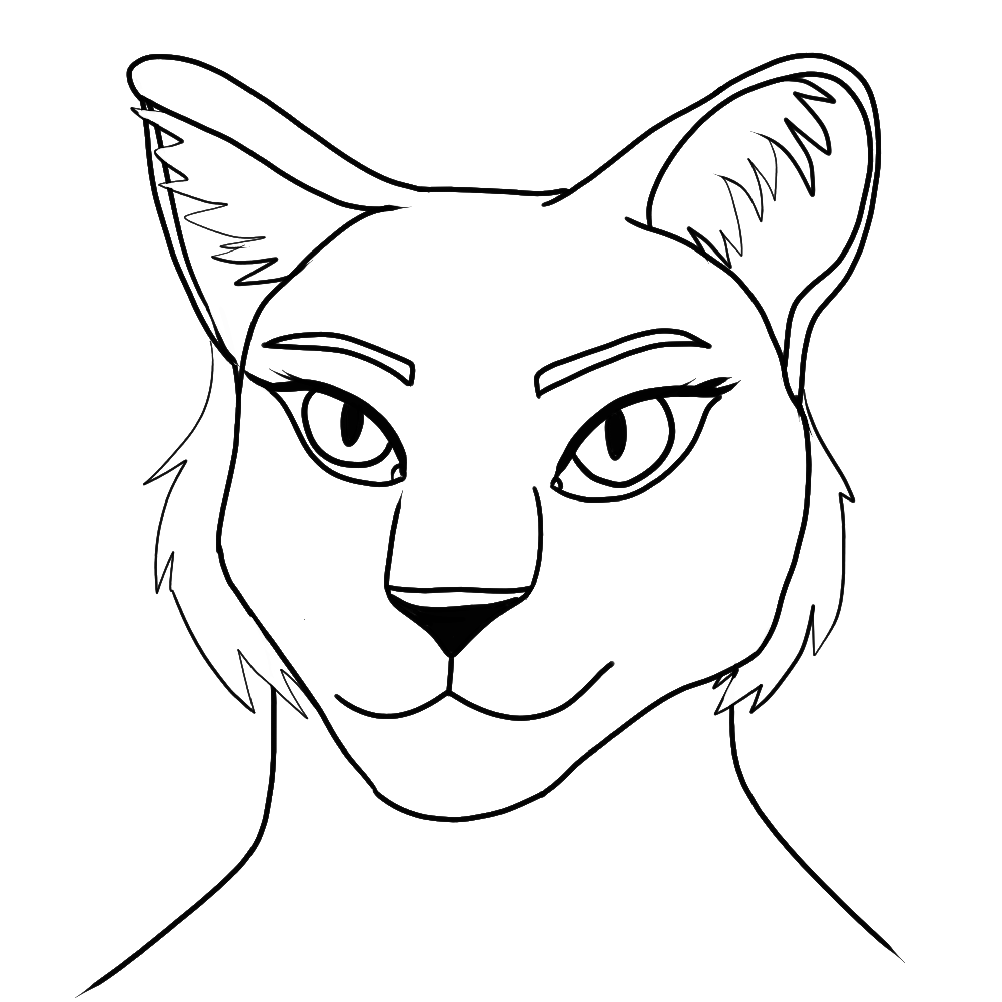 2000x2000 Going Back To A Lioness Base Has Been Good For Me You Don't Get