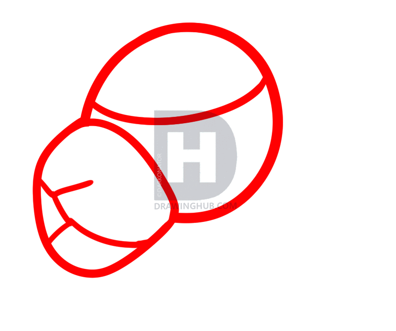 810x677 How To Draw A Lioness Head, Step