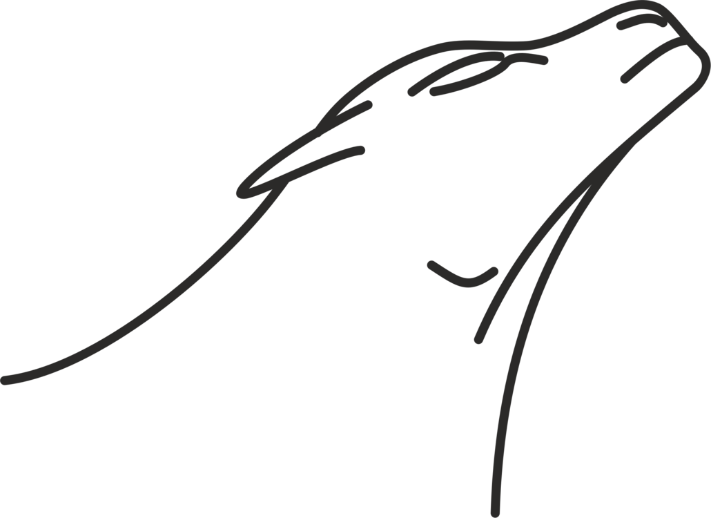 1030x750 Line Art Drawing Lion Monochrome Cc0