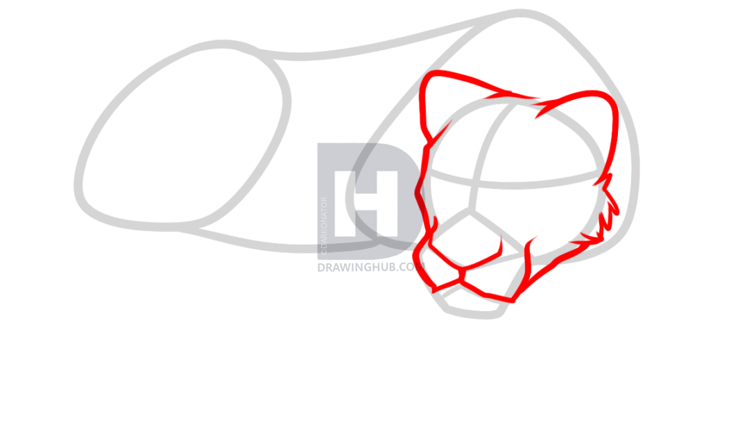 1080x619 How To Draw A Lioness, Step