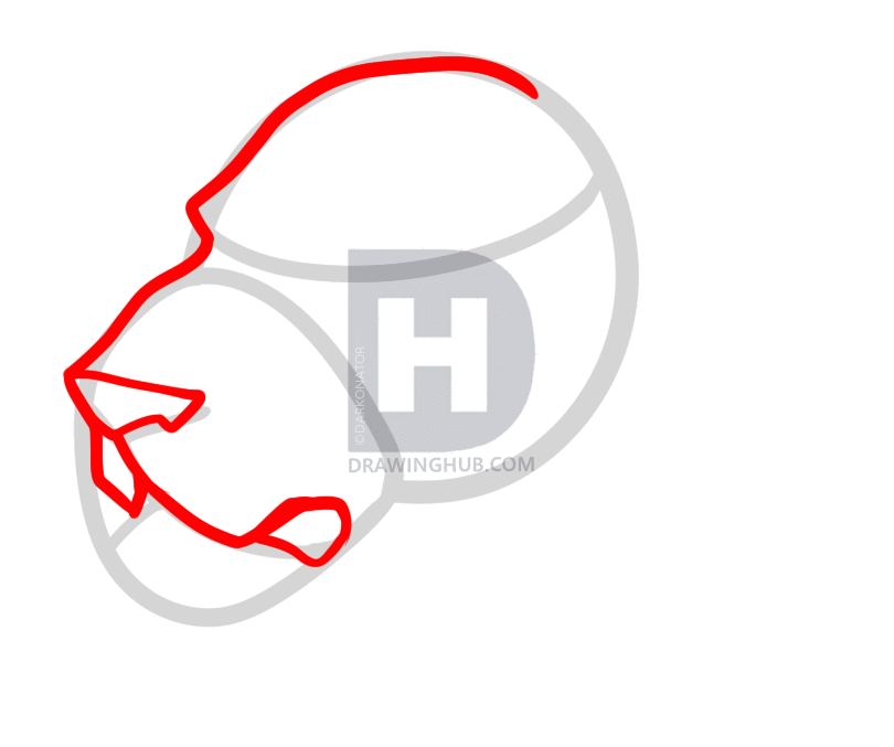 810x677 How To Draw A Lioness Head, Step