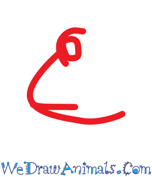 300x350 how to draw a lionfish