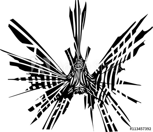 500x431 lionfish looking