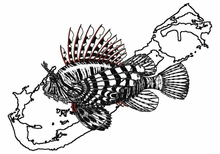 736x515 marine conservation on twitter new tech aims to halt invasive