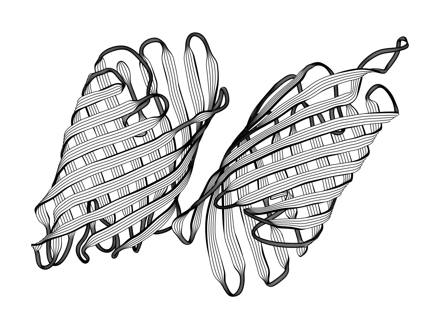 1526x1144 michael fogleman plotter drawings