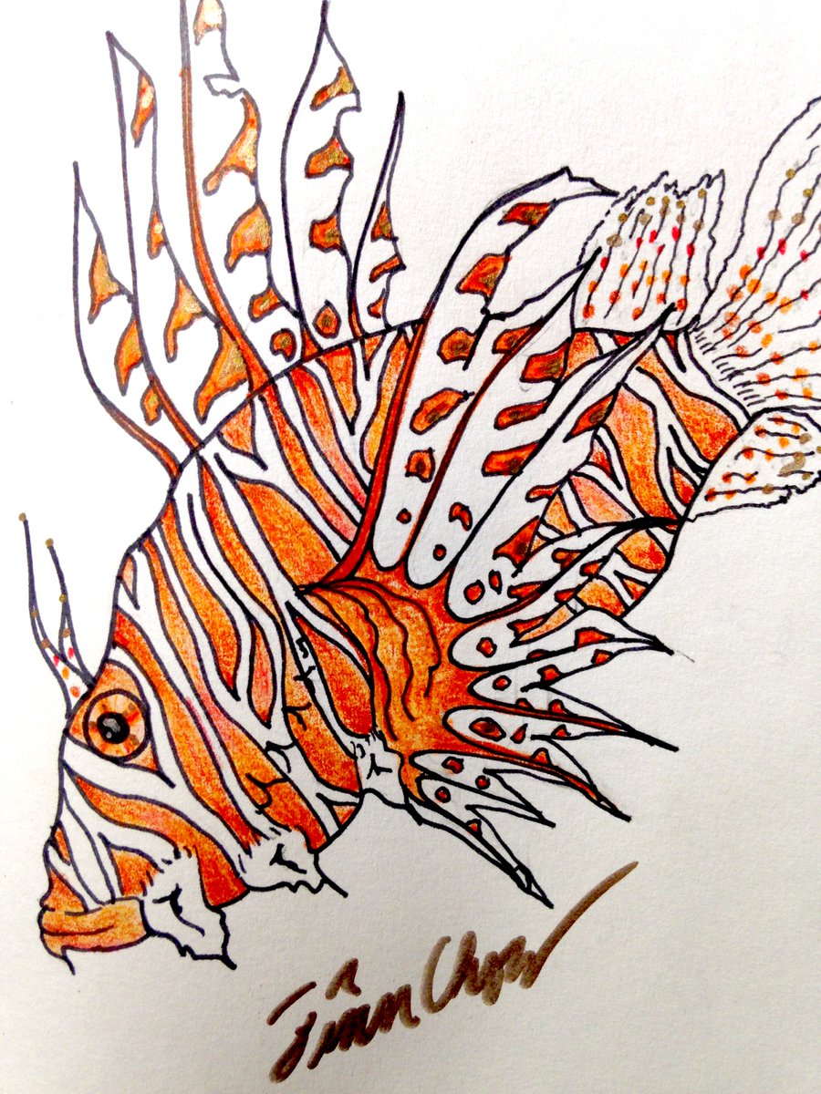 900x1200 Finn Chow On Twitter The Man Sat Behind His Desk, Which Also