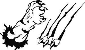 300x178 Collection Of 'lion Claw Drawing' Download More Than Images