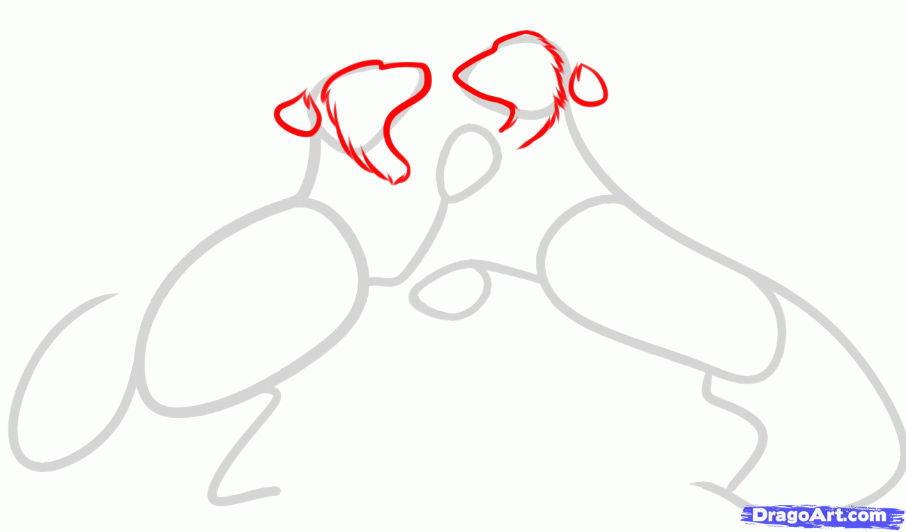 1300x764 how to draw fighting lions, draw fighting animals, step