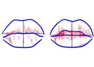 302x215 How To Draw Lips, Step