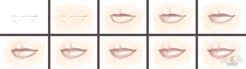 800x225 Liptutorial Explore Liptutorial