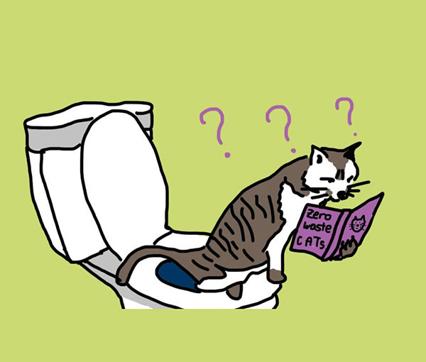 600x510 The Zero Waste Cat Litter Conundrum