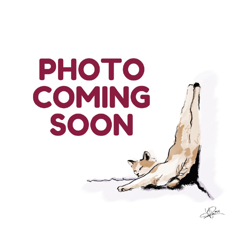 800x800 Clumping Litter