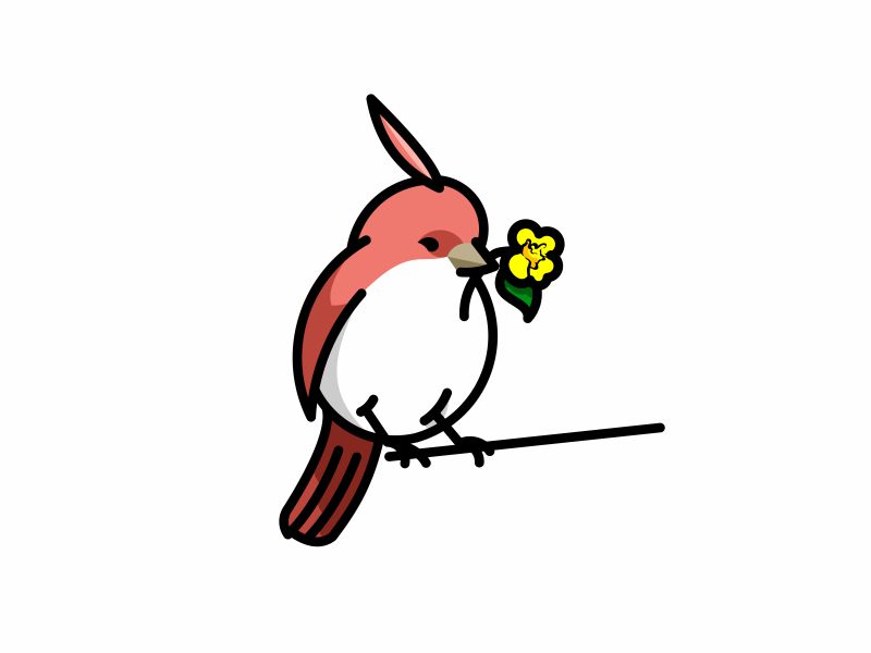 800x600 Little Red Bird