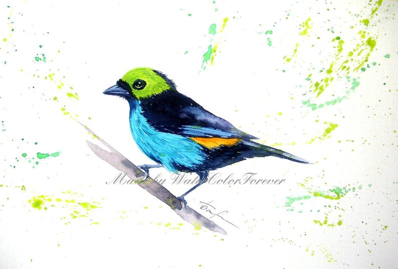 794x536 Original Watercolorird Paintingwatercolor Artwatercolour Etsy