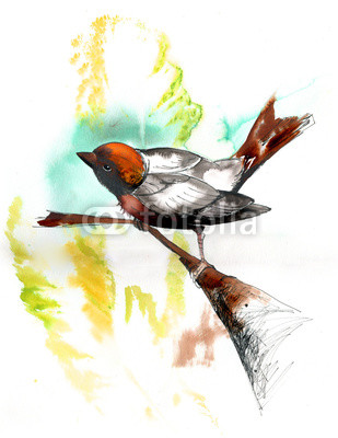 309x400 Watercolor Of A Little Bird On A Tree Branch Against Abstract