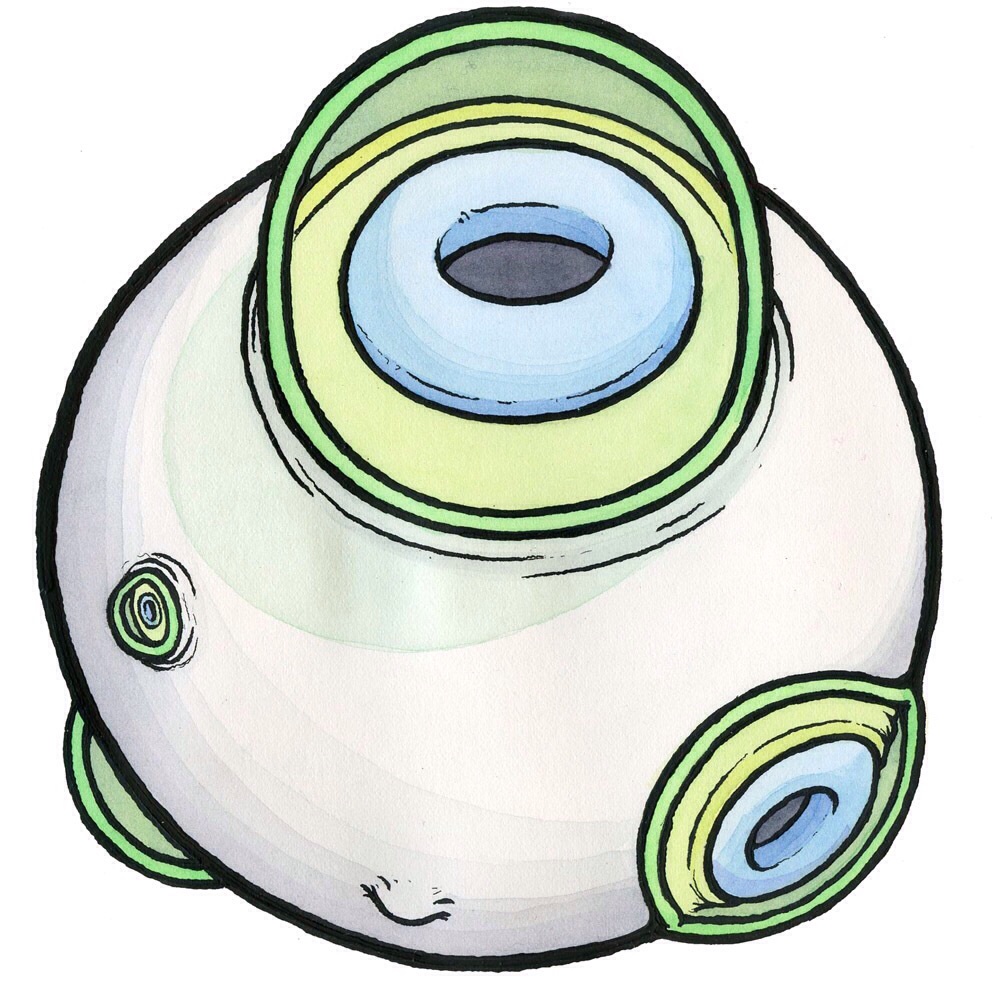 1000x1000 Little Home Drawings Scott Teplin