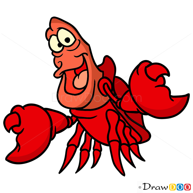 800x799 How To Draw Sebastian, Mermaids