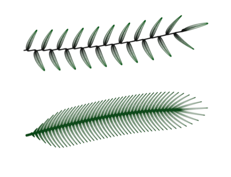 469x359 How To Draw With Math