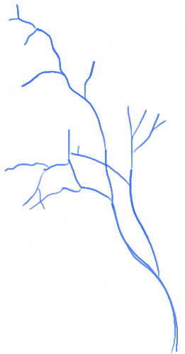 261x499 How To Draw Trees And Oak Trees With Simple Steps Tutorial