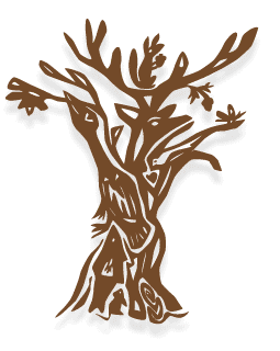 255x320 The Mighty Acorn Eat Your Way Back Into The Web Of Life Go Wild