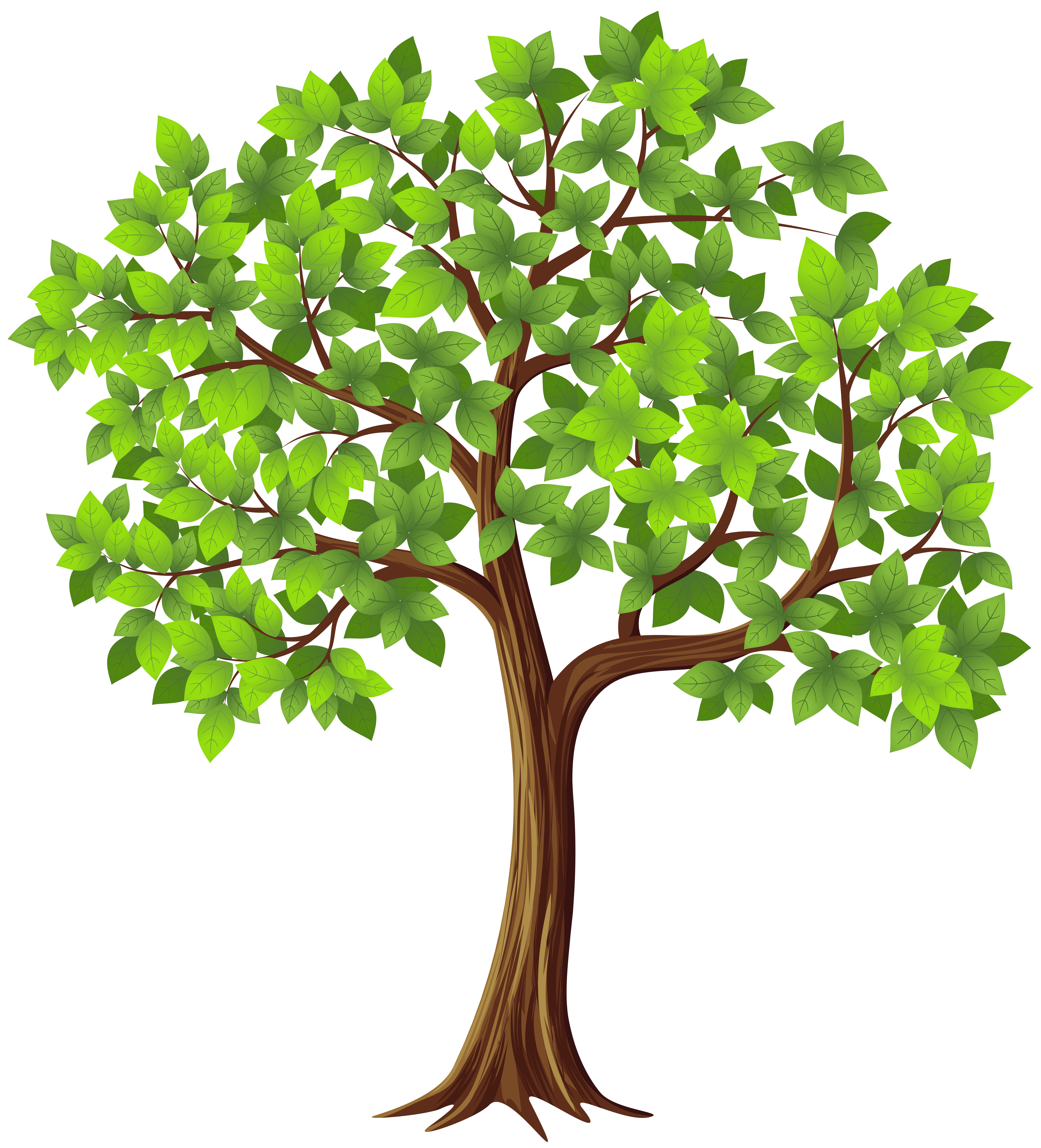 5440x6000 Trees Clipart Live Oak Tree Royalty Free Stock Techflourish