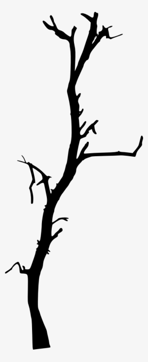 300x730 Trees Png,  Free Hd Trees Transparent Image