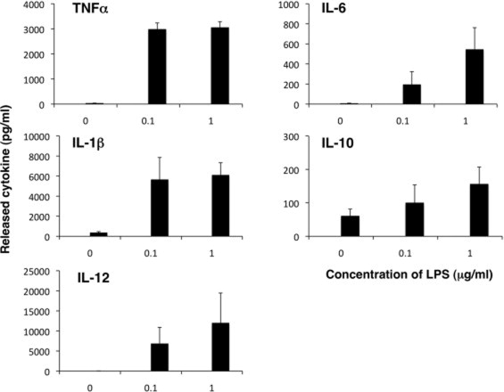 565x440 Characterization Of The Liver Macrophages Isolated From A Mixed