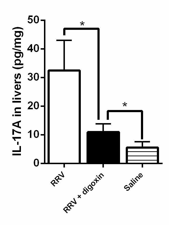 711x943 dendritic cells regulate treg axis in obstructive phase